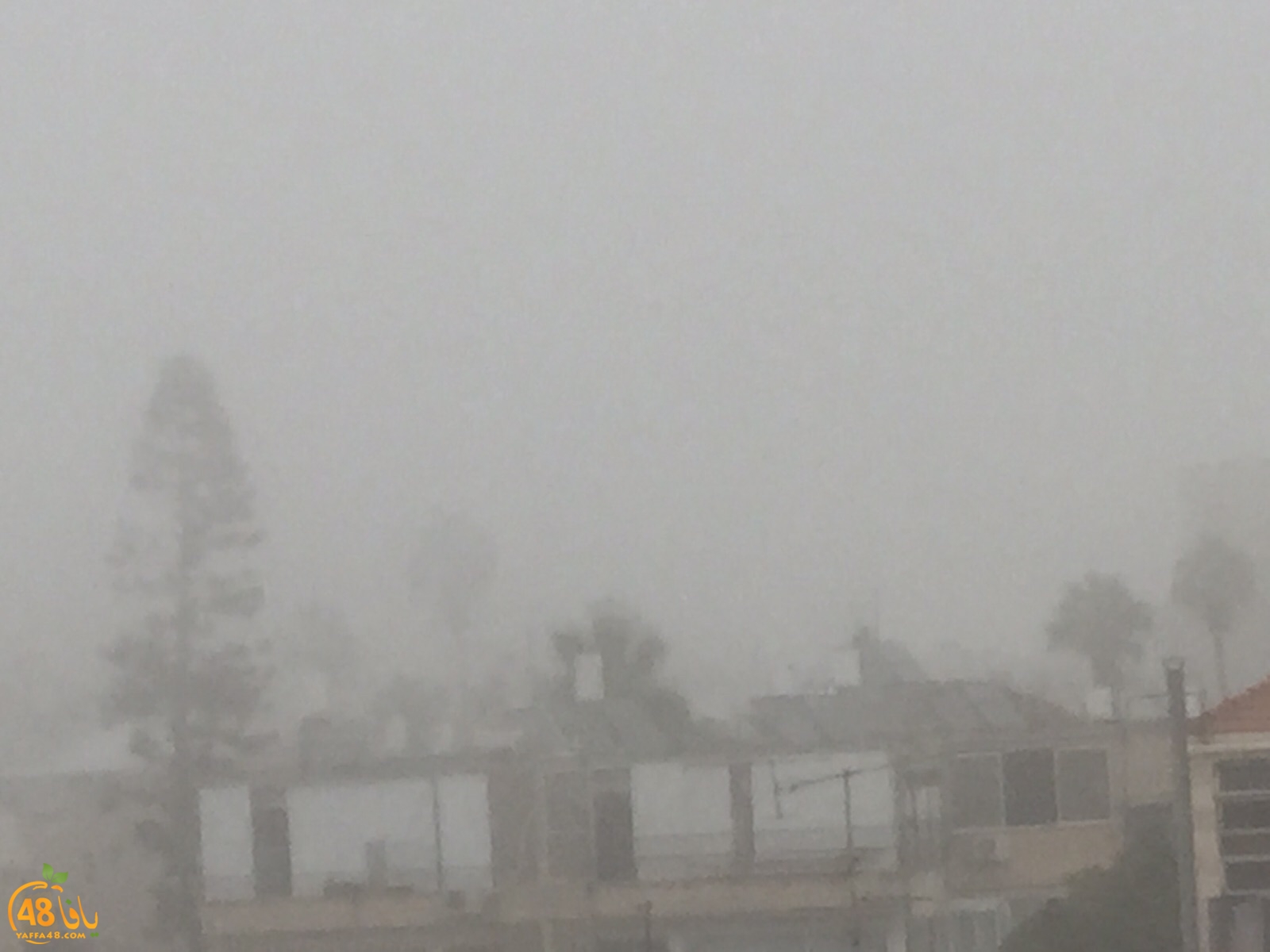 fog in yaffa (5).jpg